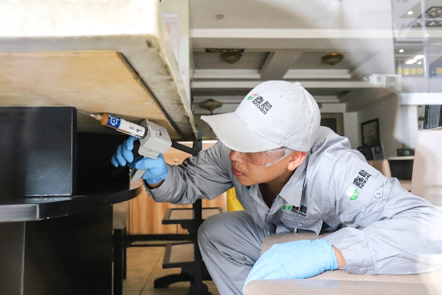 鑫晨虫控